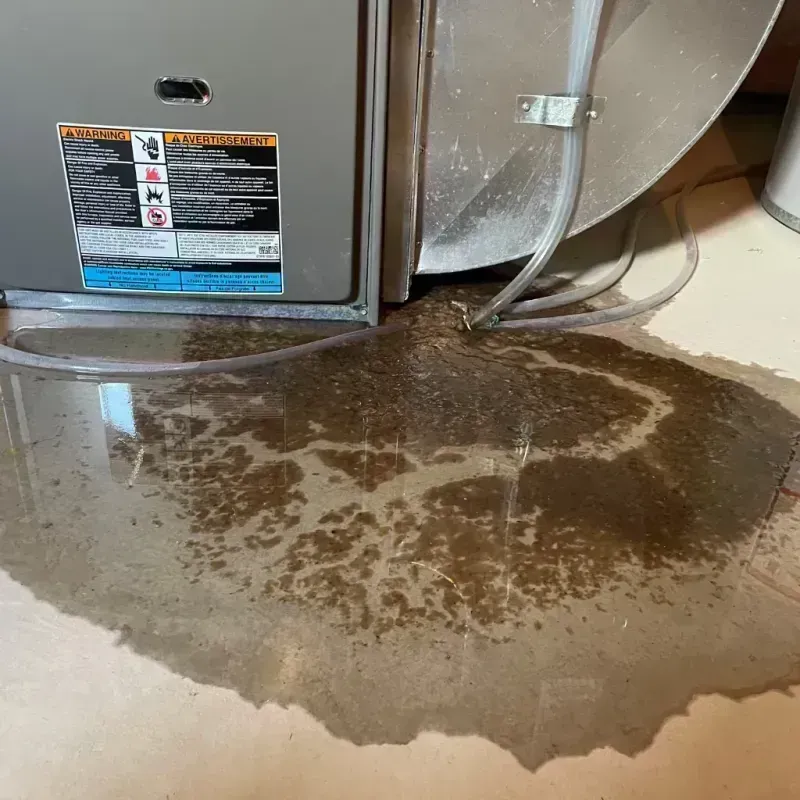 Appliance Leak Cleanup in Marysville, CA